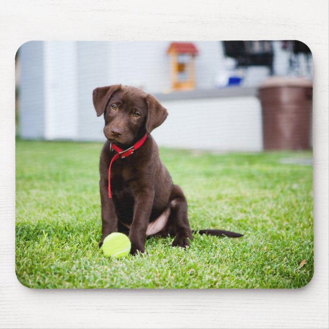 Tapis De Souris Chocolat Labrador Puppy Avec Tennis Ball (Devant)