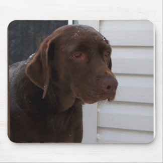 Tapis De Souris Chocolat labrador retriever
