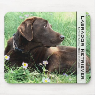 Tapis De Souris Chocolat Labrador Retriever Chasse Chien Photo