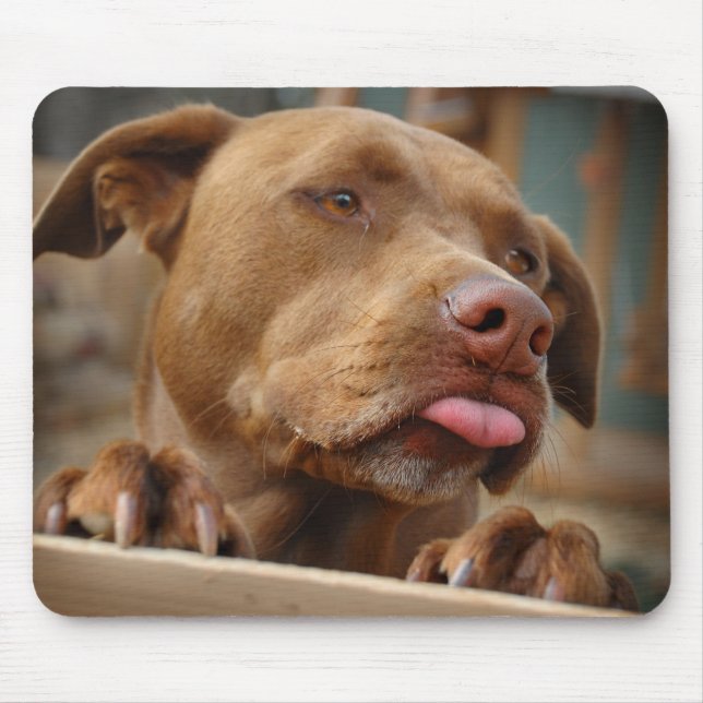 Tapis De Souris Chocolat mignon Lab Pit Mix Chien (Devant)