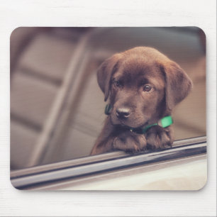 Tapis De Souris Chocolate Labrador Puppy In Car