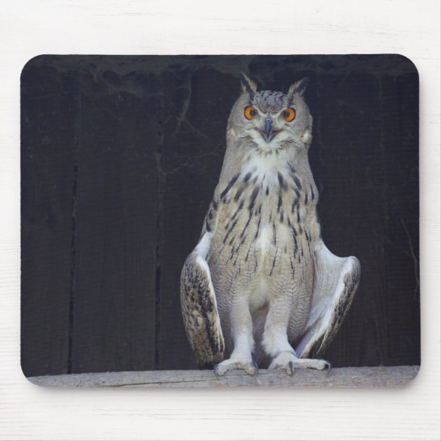 Tapis De Souris Chouette à grande corne (Devant)
