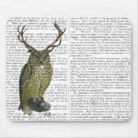 Chouette avec Antlers plain 2