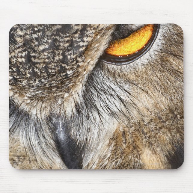Tapis De Souris Chouette d'aigle d'Eurasie (Bubo bubo) (Devant)
