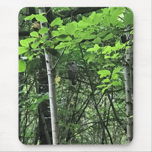 Tapis De Souris Chouette dans les arbres, Oregon