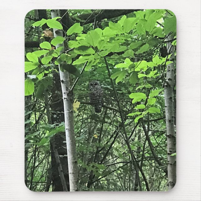 Tapis De Souris Chouette dans les arbres, Oregon (Devant)