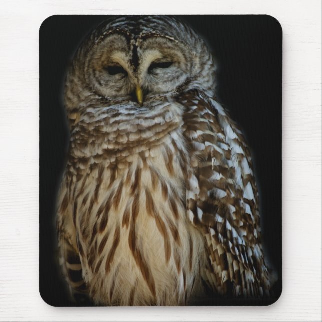 Tapis De Souris Chouette endormie Mousepad (Devant)