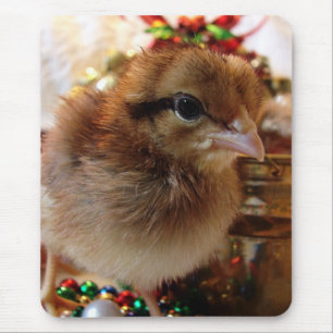 Tapis De Souris Christmas Chick