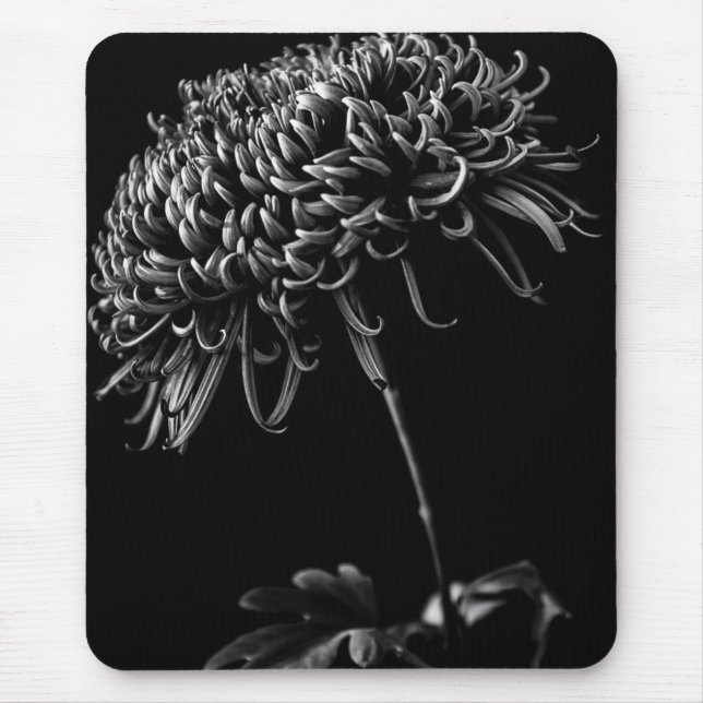 Tapis De Souris Chrysanthème (Devant)