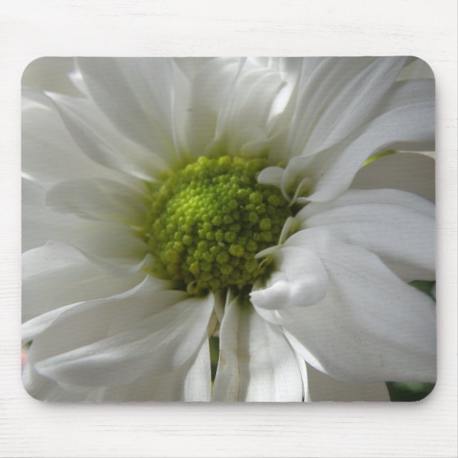 Tapis De Souris Chrysanthème blanc Mousepad (Devant)