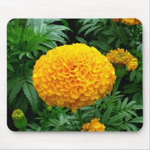 Tapis De Souris Chrysanthème orange