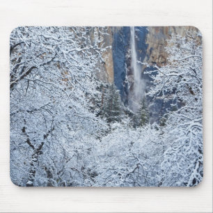 Tapis De Souris Chutes de neige fraîche dans les arbres sous Brida