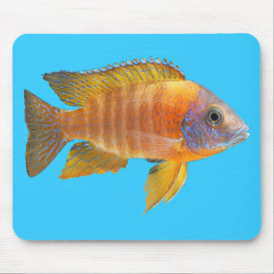 Tapis De Souris Cichlid de paon