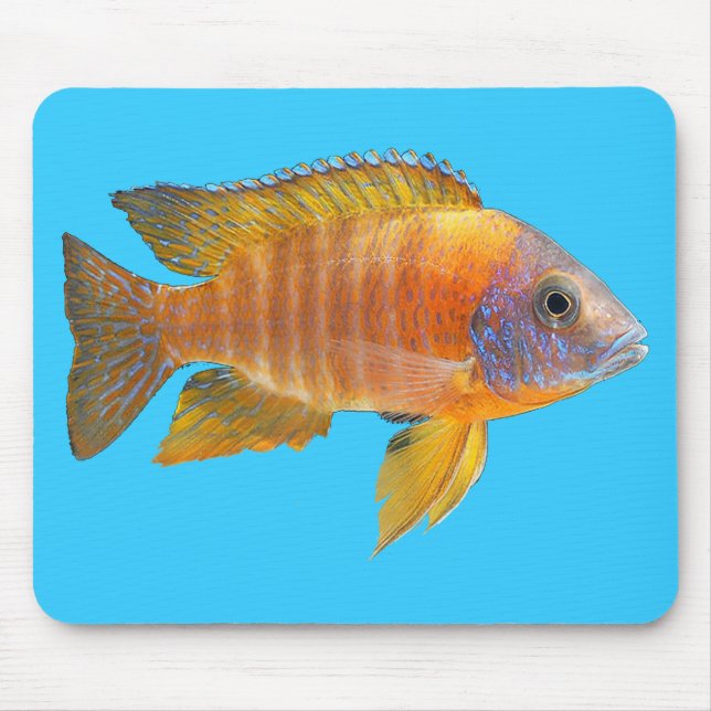 Tapis De Souris Cichlid de paon (Devant)