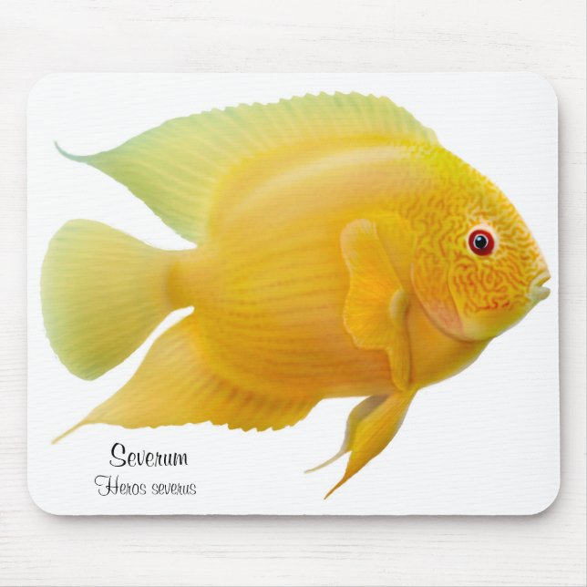 Tapis De Souris Cichlid d'or Mousepad de Severum (Devant)