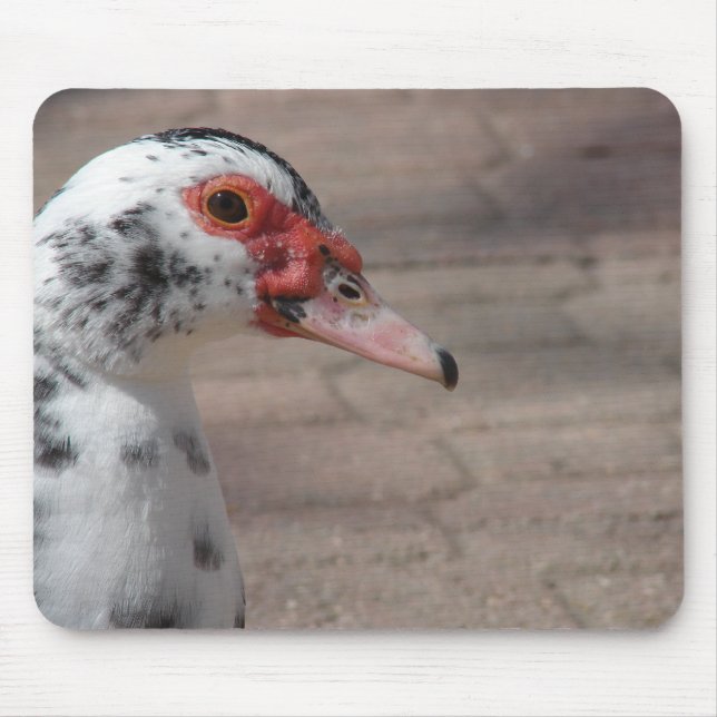 Tapis De Souris Ciel (Devant)