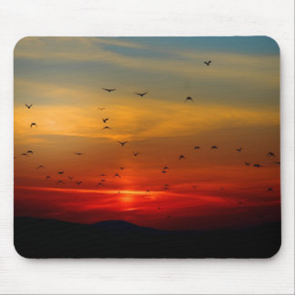 Tapis De Souris Ciel atmosphérique, coucher de soleil, oiseaux, be