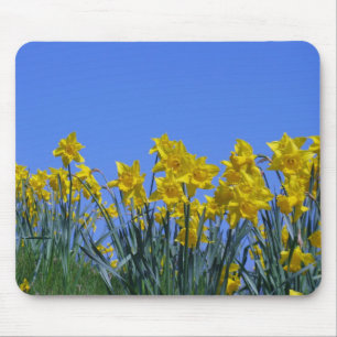 Tapis De Souris Ciel de jonquille