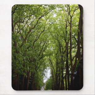 Tapis De Souris Cimes d'arbre verticales