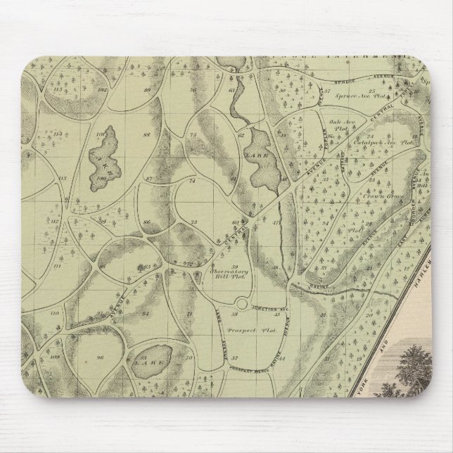 Tapis De Souris Cimetière de Woodlawn (Devant)