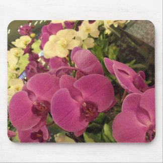 TAPIS DE SOURIS CIMG0482