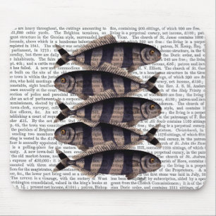 Tapis De Souris Cinq poissons triés