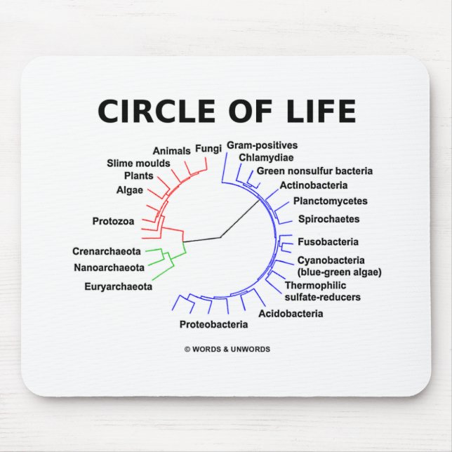 Tapis De Souris Circle Of Life (Circular Phylogenetic Tree) (Devant)