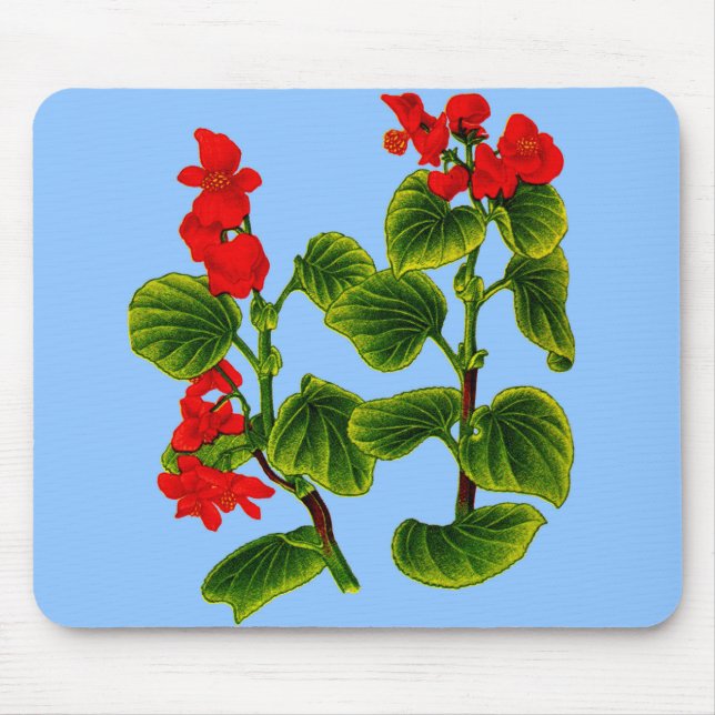 Tapis De Souris cire begonia cire begonias (Devant)