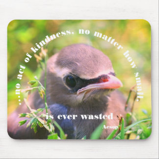Tapis De Souris Citation de gentillesse d'oiseau bébé Inspirationn