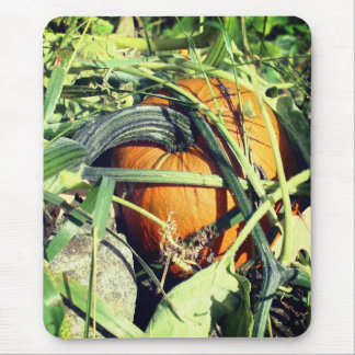 Tapis De Souris Citrouille Sur La Vigne Nature