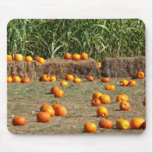 Tapis De Souris Citrouilles, maïs et foin Photographie de la récol