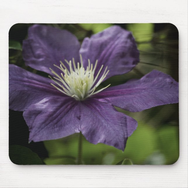 Tapis De Souris Clematis 8510 Mousepad (Devant)