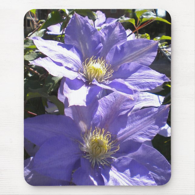 Tapis De Souris Clematis Mousepad (Devant)