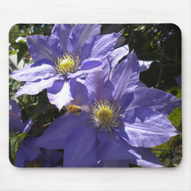 Tapis De Souris Clematis Periwinkle et mousepad Bee (Devant)
