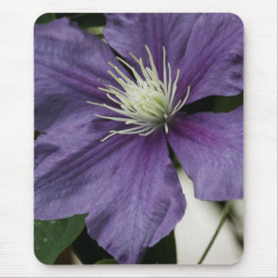 Tapis De Souris Clematis pourpre Mousepad