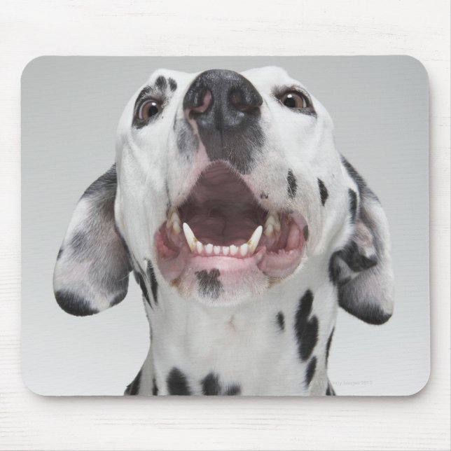 Tapis De Souris Close up of a Dalmatian dog (Devant)