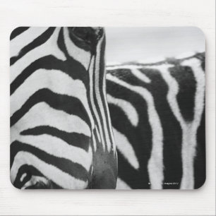 Tapis De Souris Close-up of zebra face and shoulder