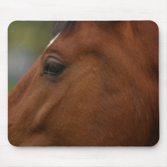Tapis De Souris Closeup de Bay Horse (Devant)