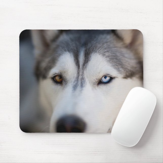 Tapis De Souris Closeup Stoic Regard d'un malamute de l'Alaska (Avec souris)