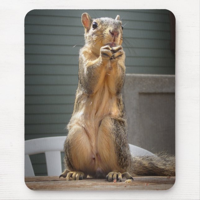 Tapis De Souris Closeuse d'écureuil mignon avec noix 3 (Devant)