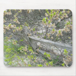 Tapis De Souris Clôture contre les dunes IBSP Mousepad