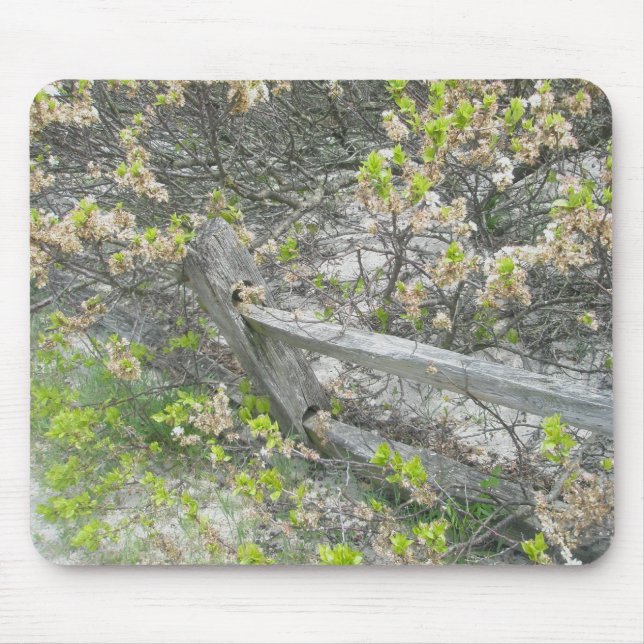Tapis De Souris Clôture contre les dunes IBSP Mousepad (Devant)