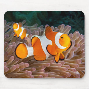 Tapis De Souris Clown Fish