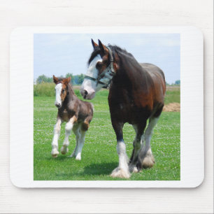 Tapis De Souris Clydesdale et pouliche