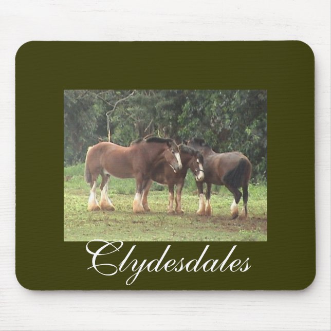Tapis De Souris Clydesdales Mousepad (Devant)