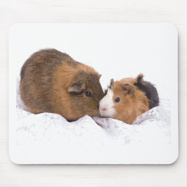 Tapis De Souris cobaye (Devant)