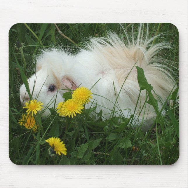 Tapis De Souris Cobaye Mousepad (Devant)