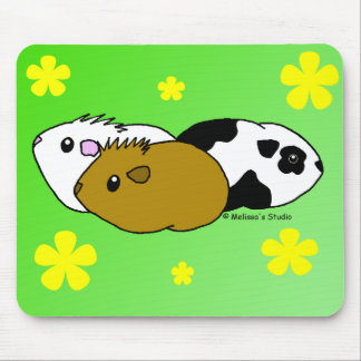 Tapis De Souris Cobayes