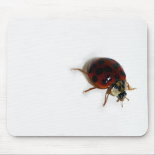 Tapis De Souris Coccinelle