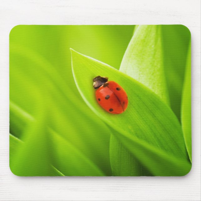 Tapis De Souris Coccinelle (Devant)